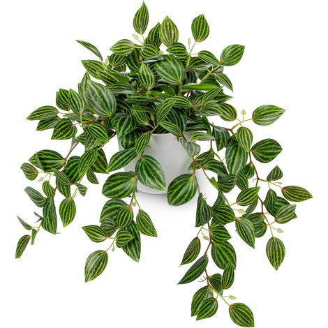 Plante Artificielle - Peperomia Faux - Pot En Plastique - Hauteur 45 Cm - Pour Intérieur Bureau Salle De Bain Étagère Table - 1 Pièce (1/5)