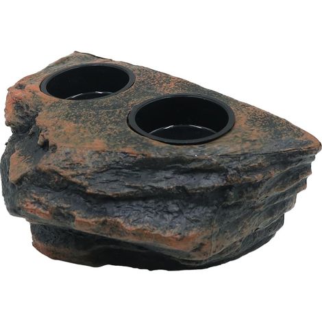 Mangeoire magnétique pour reptiles, double gamelle, gecko, avec 2 gobelets pour grenouille, tortue, lézard, reptile, gecko (1/5)