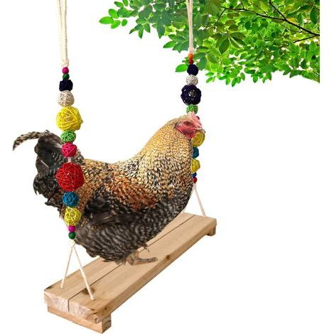 Zubehör für den Hühnerstall: Hühnerschaukel, Hühnerstange, Hühnerleiter für Hühnerrennen, großer Vogel, Papagei, Henne, Ara, Hahn, Kükenspielzeug (1/5)