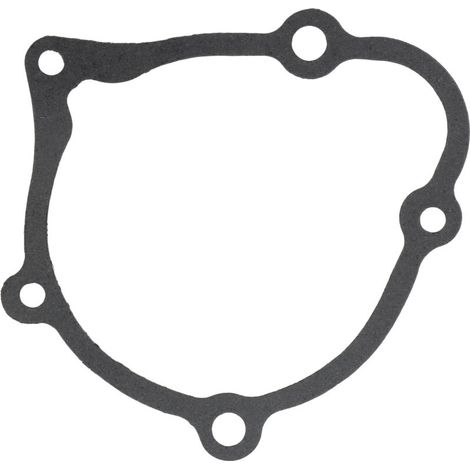 Joint d'étanchéité monobloc haute performance GOOFIT Compatible avec Suzuki GSX1300R Hayabusa (1999-2003) Joint spécifique pour couvercles latéraux de magnéto (1/4)