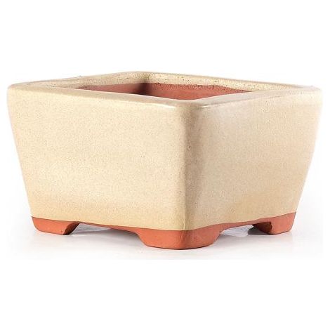 Vaso bonsai smaltato quadrato cm. 18 Avorio