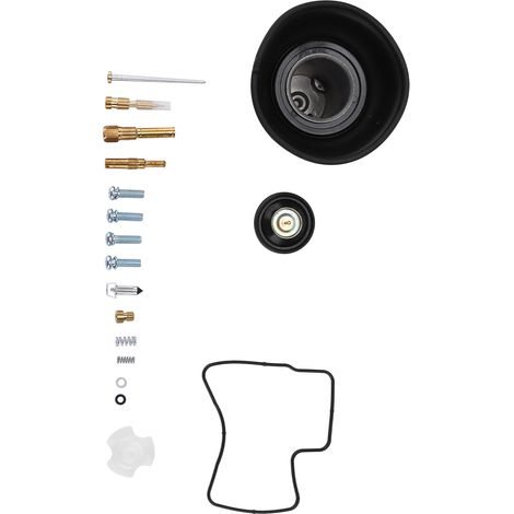 Vergaser-Reparatursatz für STEED SHADOW VT VLX 600 1994-2003 (1/5)