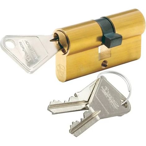 Vachette V5 7100 Cylindre 2 entrées Laiton 40x45 - 3 clefs - Vis de 60