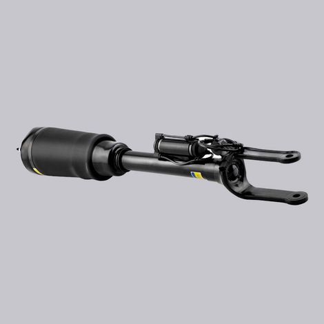 Avant Suspension Pneumatique Luftfederbein for Mercedes Ml Gl Classe W164 X164 (1/5)