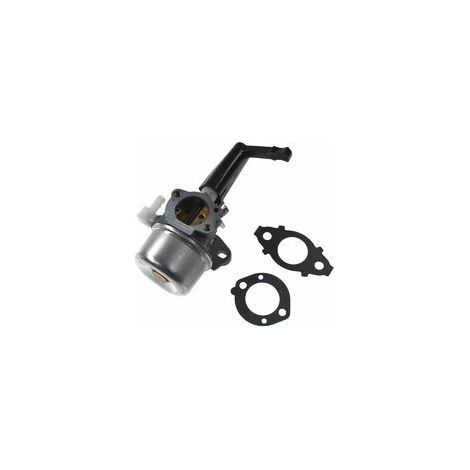 Ersatz Briggs & Stratton Pinnenvergaser 696065 mit Dichtungssatz (1/5)