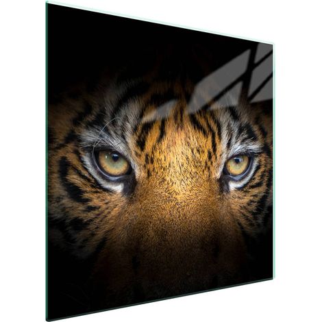 Piastra protettiva in vetro per piano cottura 50x52 Tiger (1/5)