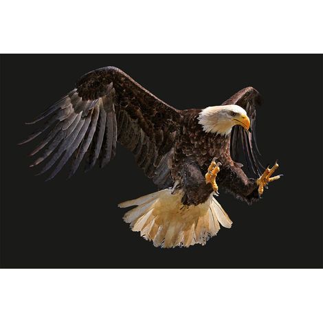 Papier peint panoramique 3D oiseaux sur fond noir | Tapisserie panoramique aigle idéal salon | Papier peint panoramique animaux pour escalier - 267 x 400 cm (4 pièces) (1/2)
