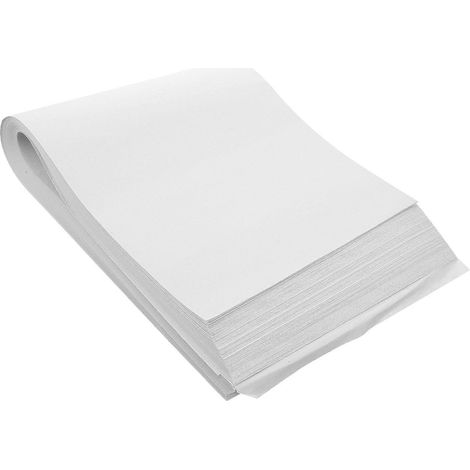 100 feuilles de papier germinatif professionnel 52,5 x 21 cm, hydratant et étanche, pour la germination de légumes au jardin ou à la ferme (gris clair) (1/3)