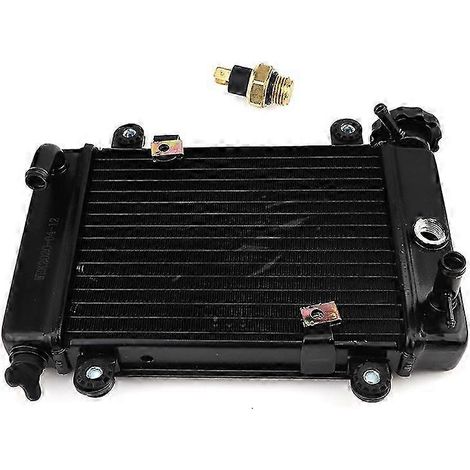 Refroidisseur de moteur à eau pour quad/moto tout-terrain 150cc/250cc, buggy des dunes, édition Zongshen 527 (1/5)