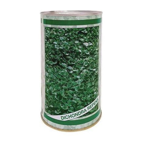 2,0 x SEME PRATO DICHONDRA REPENS