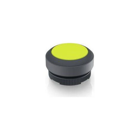 RAFI 1.30.270.001/2401 RAFIX 22 FS Bouton-poussoir lumineux à rappel à rappel (L x l x H) 29.8 x 29.