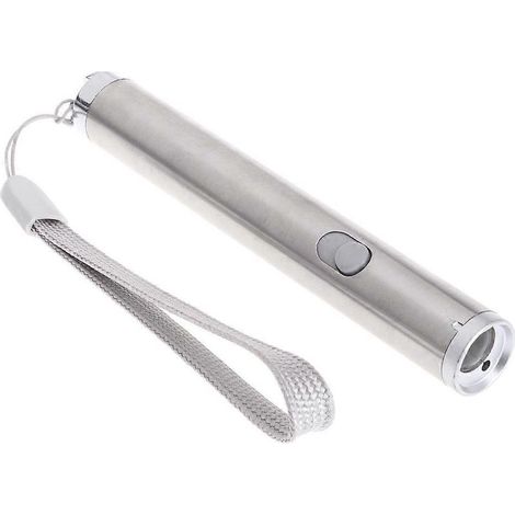 Pointeur laser pour chats et chiens, amusant pour enfants, guide touristique, salle de classe. (1/4)