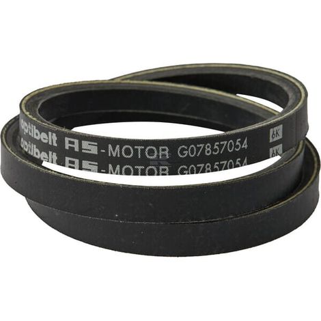 Courroie AS-MOTOR G07857054
