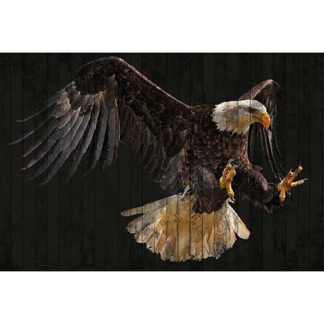 Papier peint panoramique noir motif aigle Tapisserie panoramique originale motif animaux Papier peint panoramique idéal pour couloir (1/3)