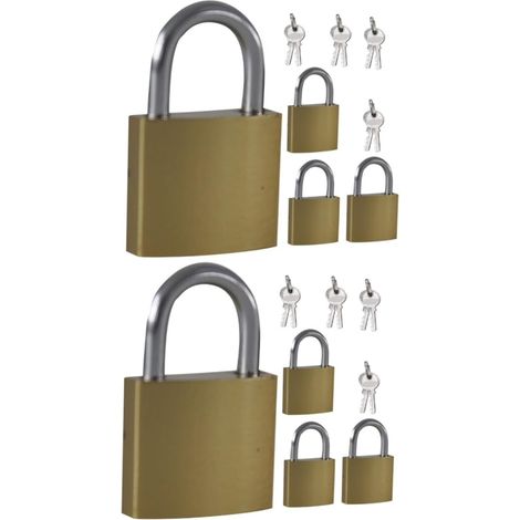 Cadenas métalliques série 2, clés incluses, casiers et carnets (1/5)