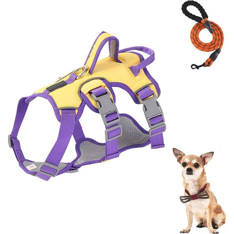 Filiyano-Harnais pour petit chien, harnais de sécurité anti-fugue, harnais rembourré avec 2 poignées et 2 attaches, taille S (1/5)