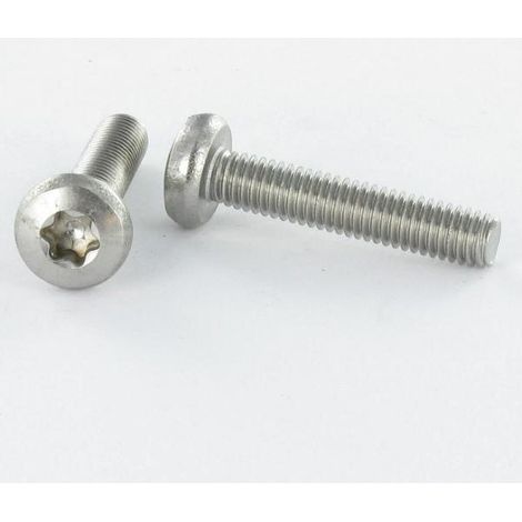 Vis métaux tête cylindrique bombée large M4X6 TORX T20 Acier zingué-10 pièces