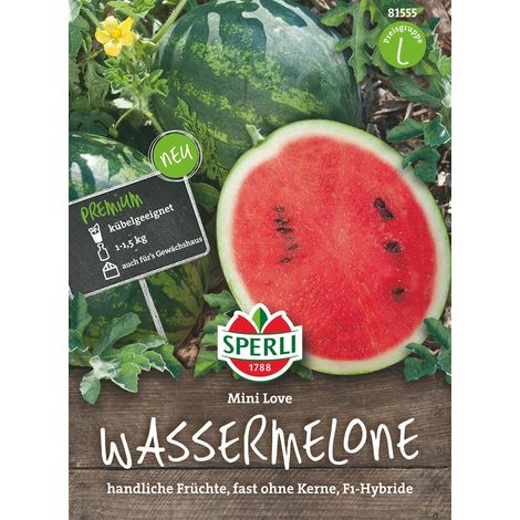 Sperli Wassermelonen Mini Love F1 - Obstsamen (1/2)