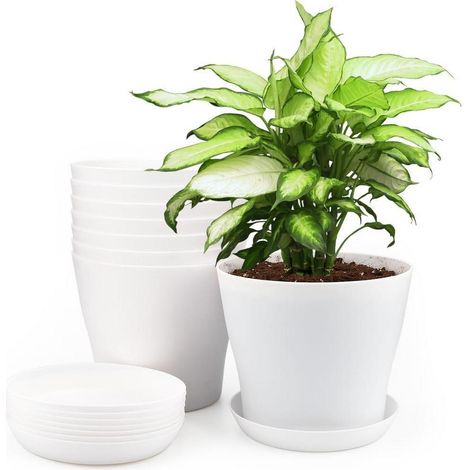 8er Set Blumentöpfe 14cm Weiß mit Untersetzern, Pflanztöpfe für Kakteen & Sukkulenten (1/5)
