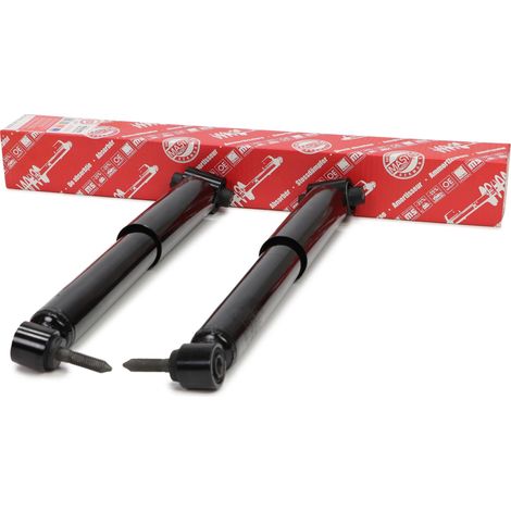 KIT AMMORTIZZATORI "MS" posteriori RENAULT MEGANE II, SCENIC II 1.4-2.0D 11.02-
