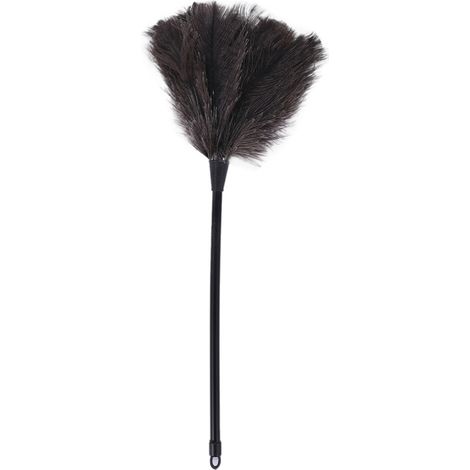 Plumeau en Plume D'Autruche avec Long Manche en Plastique Brosse de Nettoyage Outil de Nettoyage Domestique pour Plumeau (1/4)