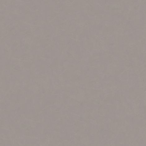 BRICOFLOR Papier peint Gris - Papier peint Uni - 10,05 x 0,53 m (1/5)
