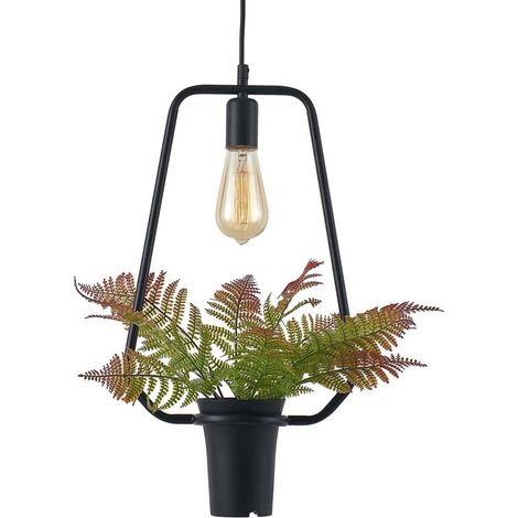 Suspension trapèze noire E27 SOREN Polux avec plante (1/5)