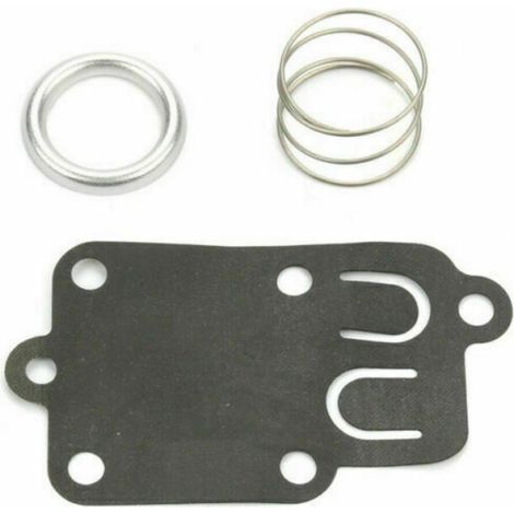Membrane de carburateur - Briggs et Stratton - Pour moteur 3 à 5 cv - Compatible tondeuse - Compatible motobineuse (1/5)