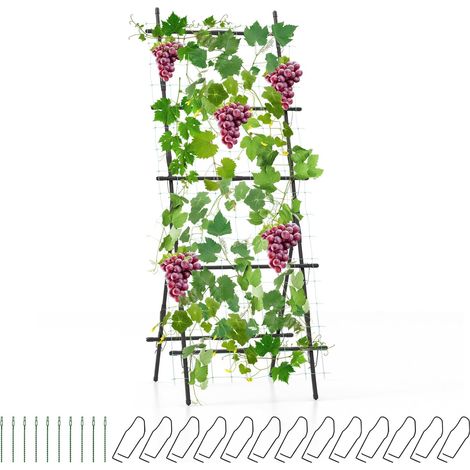 GOLUS 187cm Treillis de Jardin pour Plantes Grimpantes, Cadre Enduit de PE, Filet de Treillis, Clips de Fixation, Attaches Zippées (1/5)