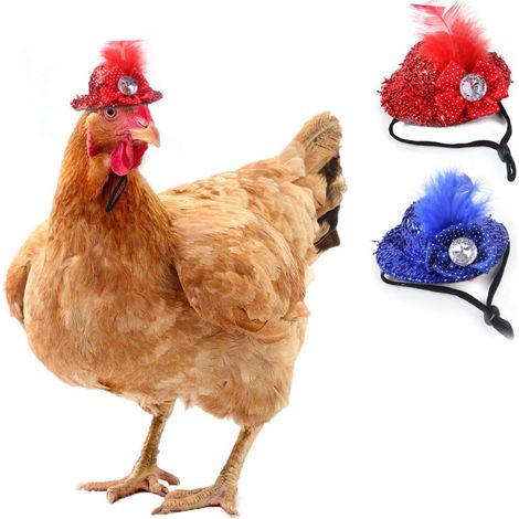 Pet Feather Top Hat 2pcs drôles Mini Minuscule Casque de Poulet pour Animaux de Compagnie Costume de Poulet Accessoire pour Coq sans Corde (1/5)