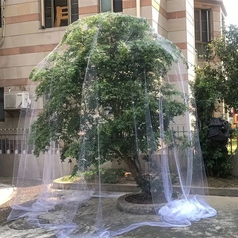 Filet de protection pour arbres fruitiers - 10 m x 10 m [Convient aux arbres fruitiers jusqu'à 3 m de hauteur] Maille de 2 cm (1/4)