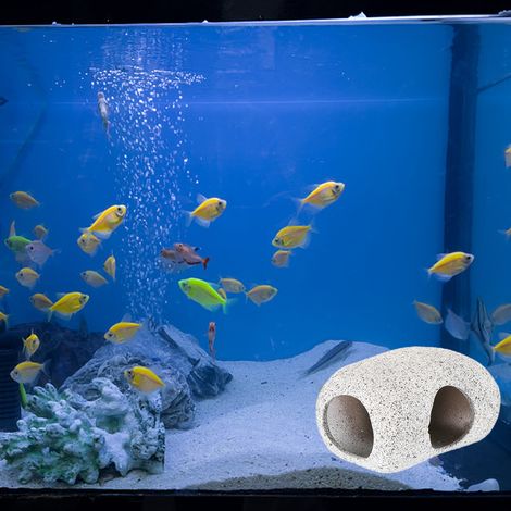 1 grotte en céramique pour aquarium, dimensions 8,5 x 6,5 x 6 cm et 10 x 6,5 x 5 cm, couleur violette, idéale pour crevettes et cichlidés (1/5)