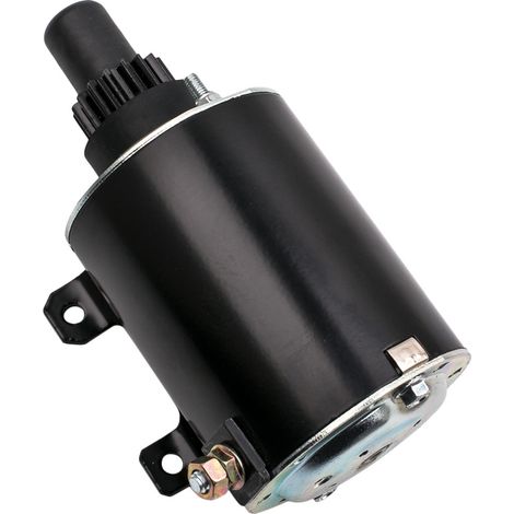 Motor Arranque para Tecumseh 12V Starter 35765 32468 33606 35765A 112564 (1/5)