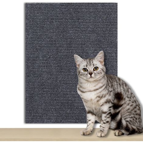 Protection Canapé Anti-Griffures Chat - Film PVC Transparent Autocollant - Pour Meubles En Cuir Et Tissu - Lot De 1 (1/5)