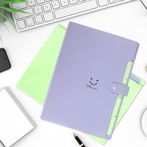 Carpeta para documentos con bolsillos, organizador de documentos tipo acordeón, adecuado para la escuela, el hogar y la oficina, diseño expandible, etiquetado para una fácil organización, color aleato