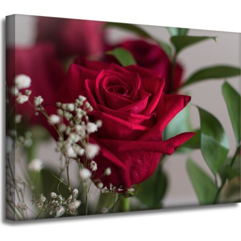 Impression sur toile Roses rouges botaniques 40x30 cm