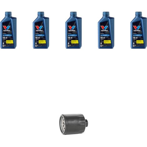 Kit filtro olio e 5L compatibile con Seat Ibiza II 1.6 55kw Dal 1999 (1/5)