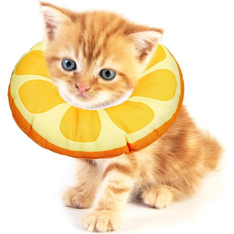 Cônes pour chatons après chirurgie Petit collier étanche en forme de donut pour petits chats Doux pour arrêter de lécher le cou Collier élisabéthain pour la récupération (taille M) (1/4)