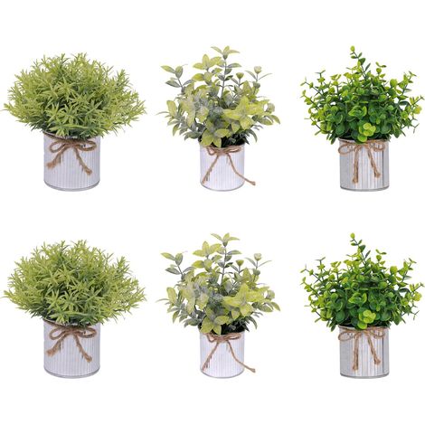 6-Pack Mini Plantes Artificielles en Pot pour Décoration de Bureau et Domicile - Verdure Réaliste en Mini-Pots en Fer - Décor de Bureau/Étagère - Combiné Eucalyptus (1/5)