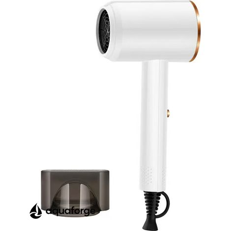 Sèche cheveux professionnel sans balais 800 W 3 vitesses (1/5)