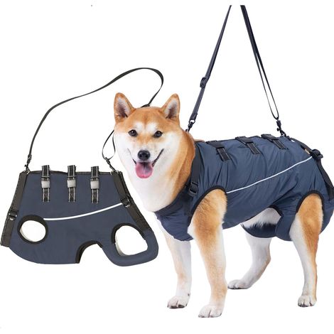 Harnais de Levage pour Chien, Support et Rééducation pour Animaux de Compagnie, Harnais de Rééducation pour Handicapés, Blessures Articulaires, Coupe des Griffes de Rééducation (S)