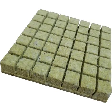 Planta De Cultivo Hidropnico De Esponja Plantada Zcmt (1/5)