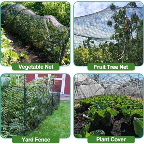 Rete per uccelli da giardino - 4 x 6 m - Adatta per pollai, pollame, alberi da frutto, ortaggi e recinzioni. (1/5)
