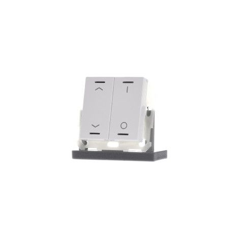 MDT technologies Taster Light 55 2-fach RGBW, rws/glä BE-TAL55T2.C1