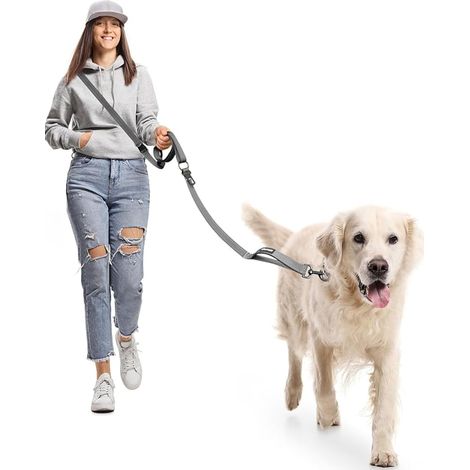 Dog Lead, Lead 2.9 m (1/5)
