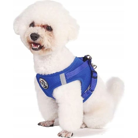 Arnés transpirable de malla para perros con correa, azul, talla M