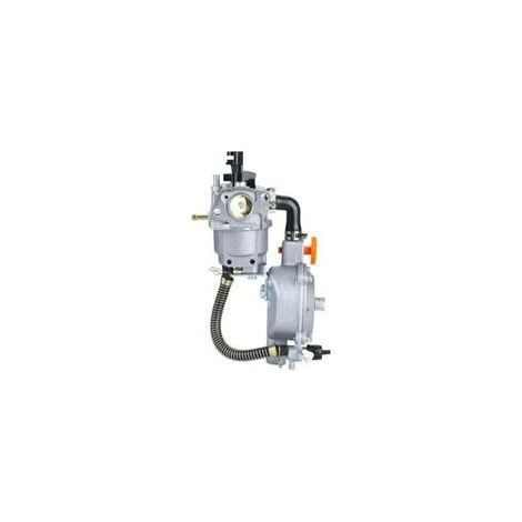 Kit di conversione carburatore a doppia alimentazione (gas di petrolio liquefatto/gas naturale), generatore da 2 kW a 6,5 kW, bobina starter manuale 168F GX160 GX200 8 CV 9 CV, carburatore per elettro