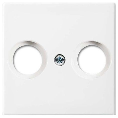 Plaque centrale busch-jaeger 2531-914 plastique finition brillante IP20