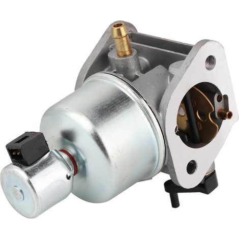 Eosnow 15004-0822 Ersatzvergaser, passend für KAWASAKI (1/5)