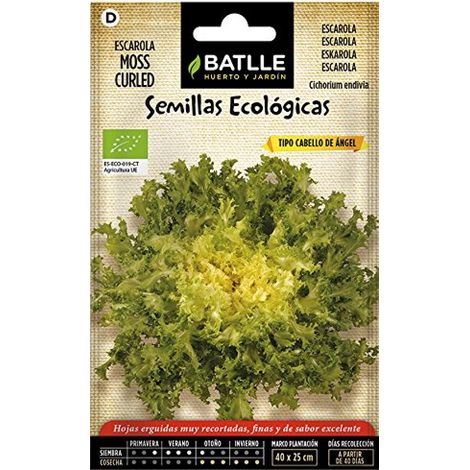 Battle - Semi Ecologici Insalata Scarola - Moss Curled (300 Semi - Bio) (1/2)
